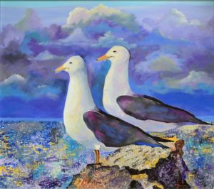 spieders van de wadden