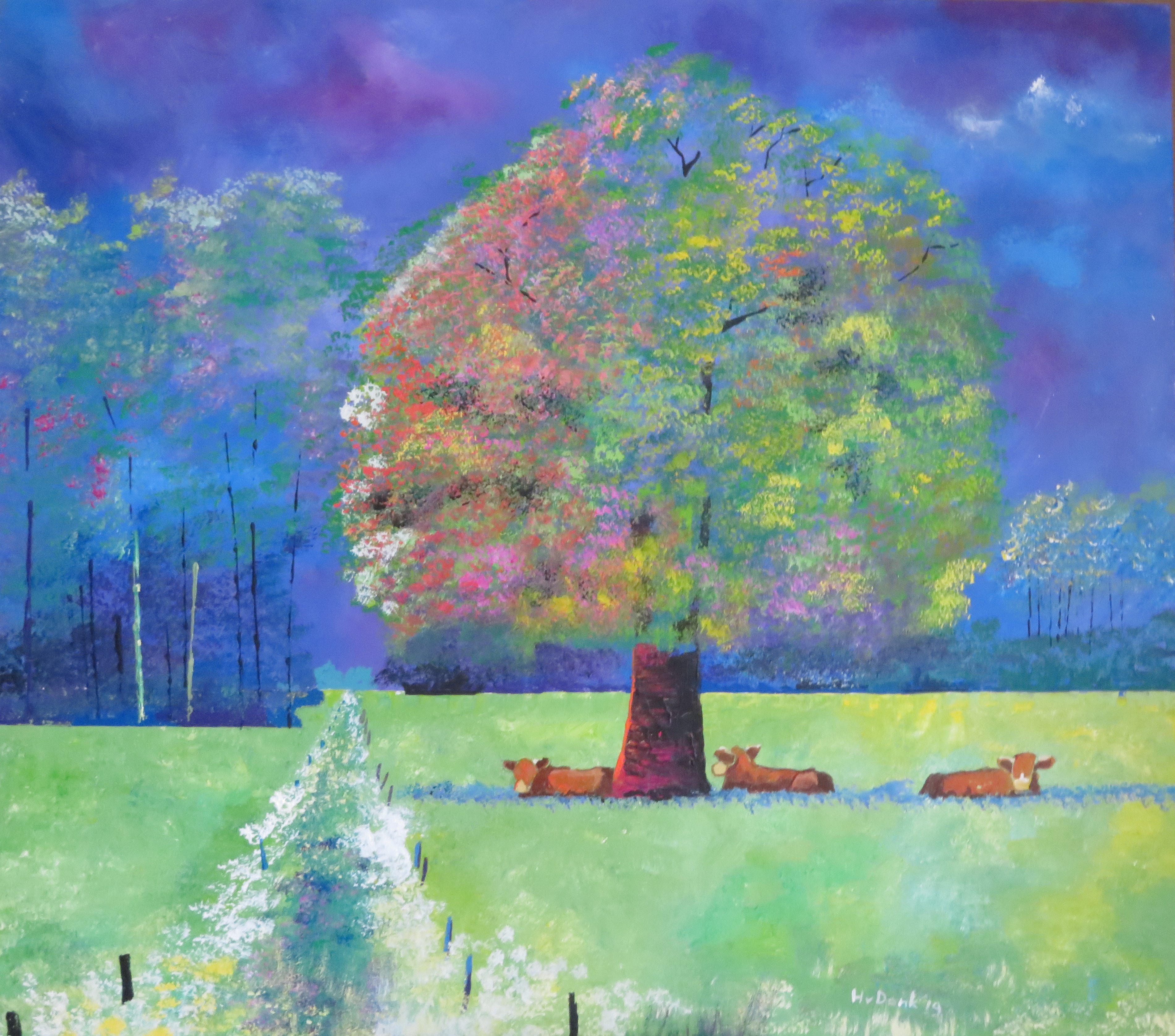 gronings landschap 2019