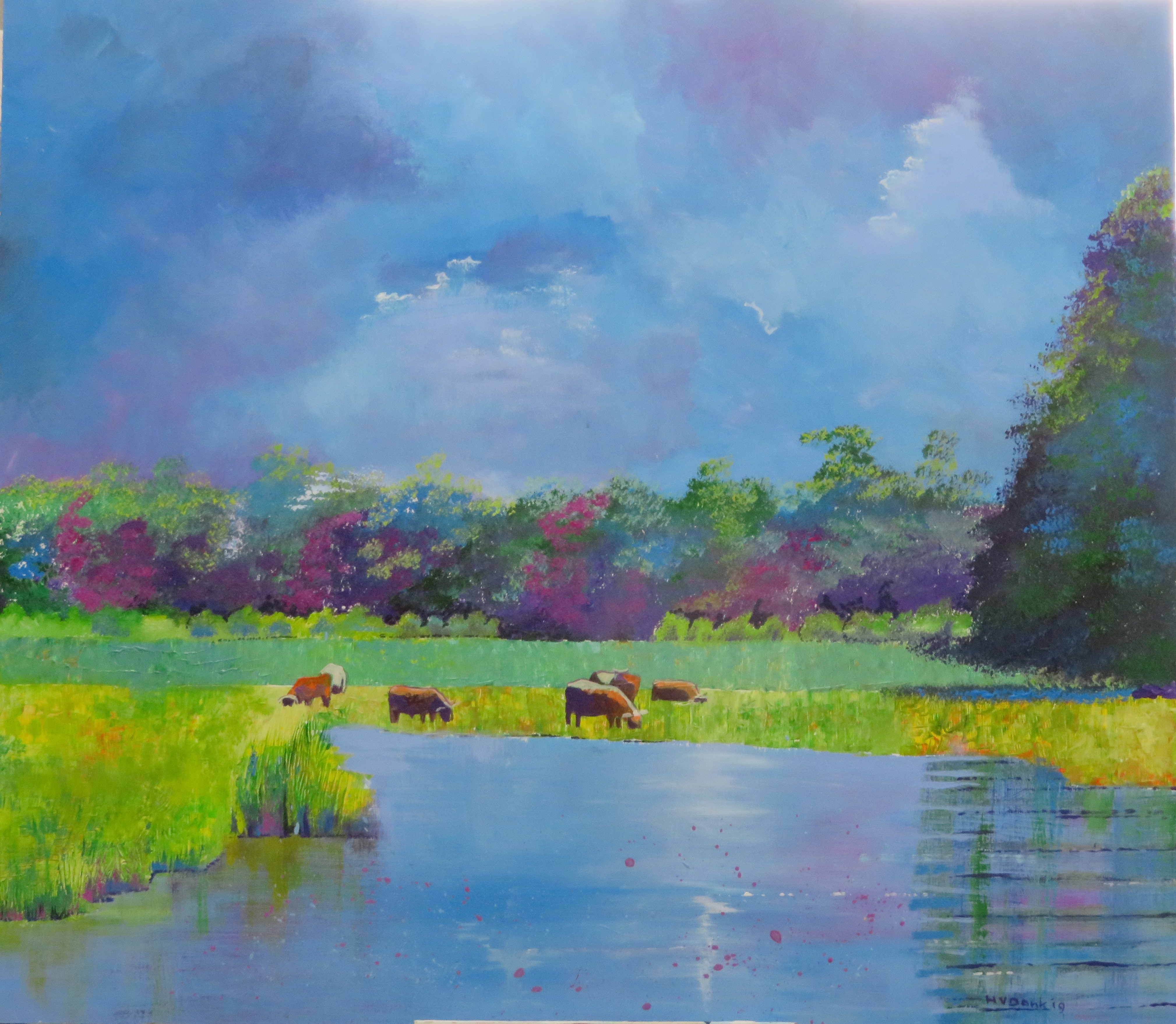 gronings landschap 2019