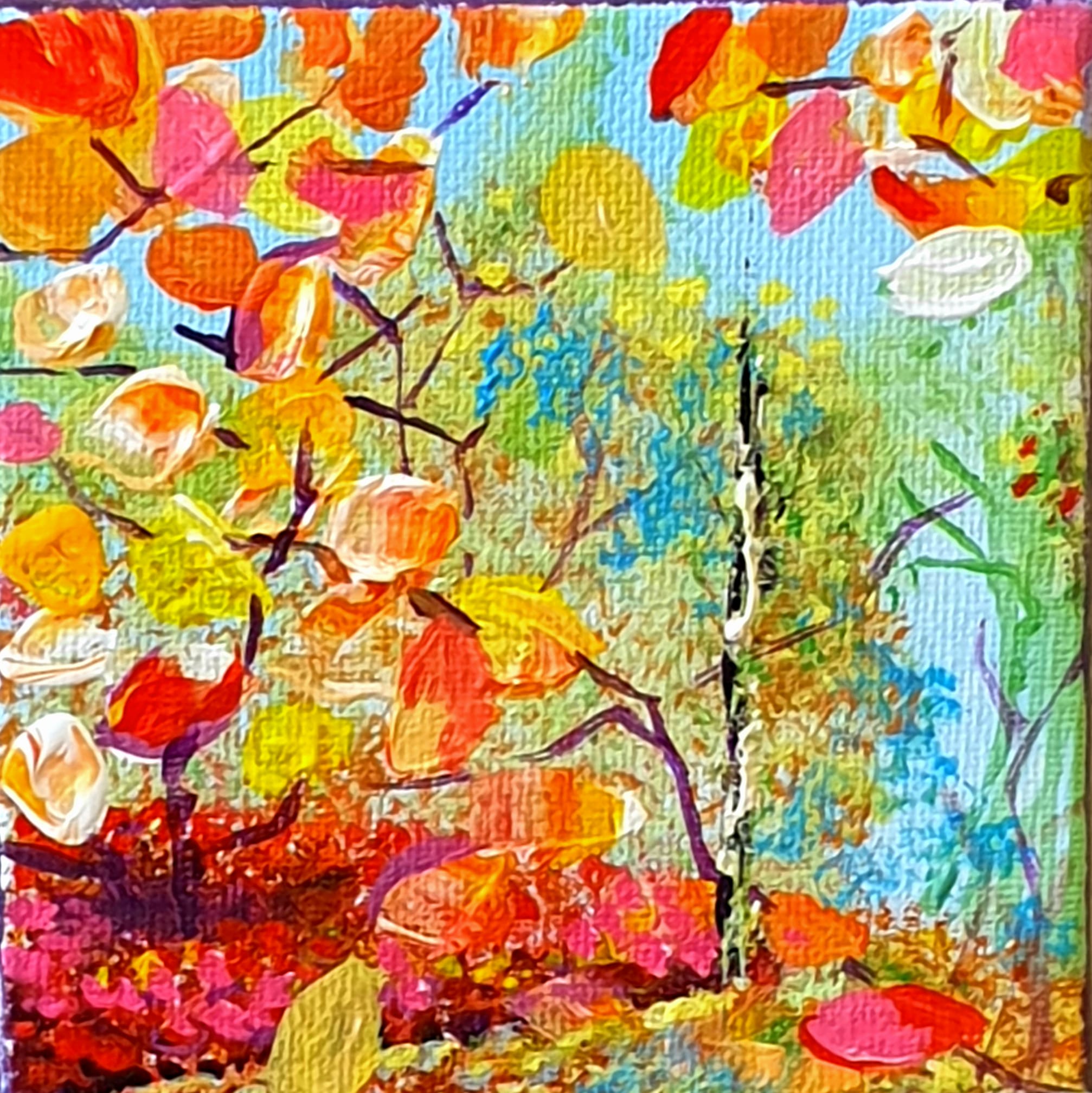 gronings landschap 2019